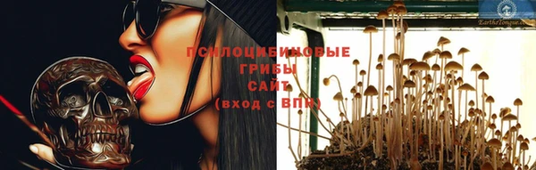 шишки Арсеньев