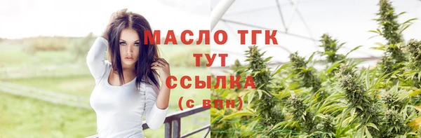 шишки Арсеньев