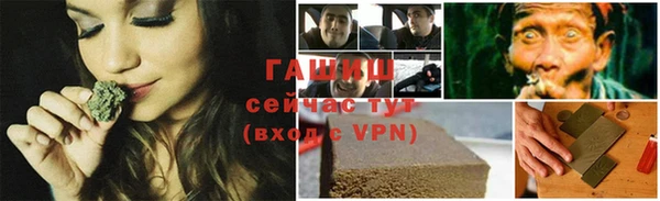 шишки Арсеньев