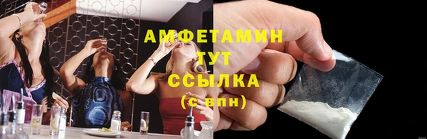 шишки Арсеньев