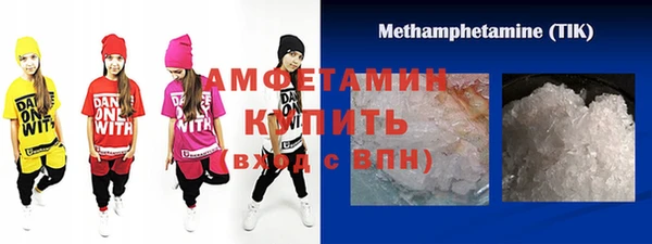 шишки Арсеньев