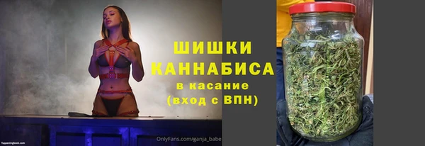 шишки Арсеньев