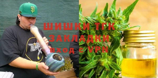 шишки Арсеньев