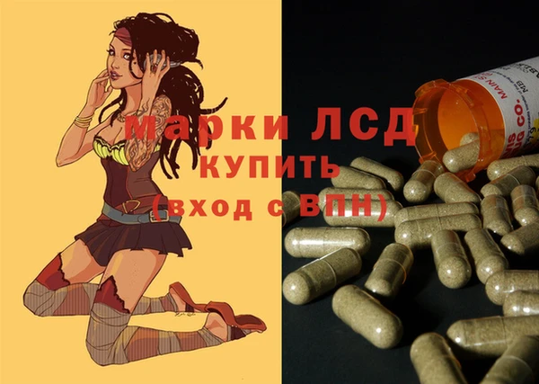 шишки Арсеньев