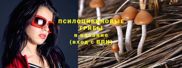 соль курить ск Аркадак
