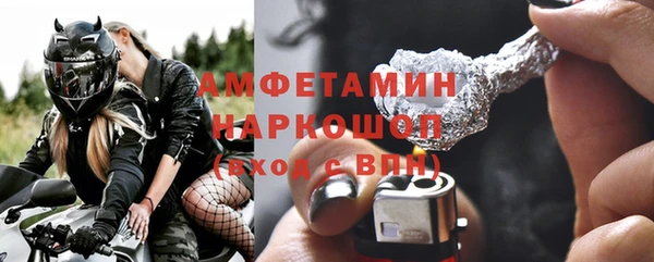 шишки Арсеньев
