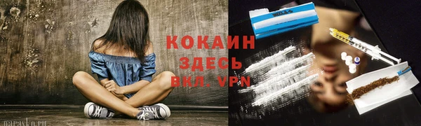 шишки Арсеньев