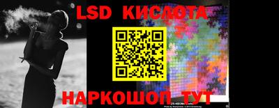 крисы Бийск