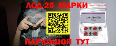 крисы Бийск