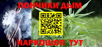 крисы Бийск
