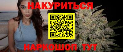 крисы Бийск