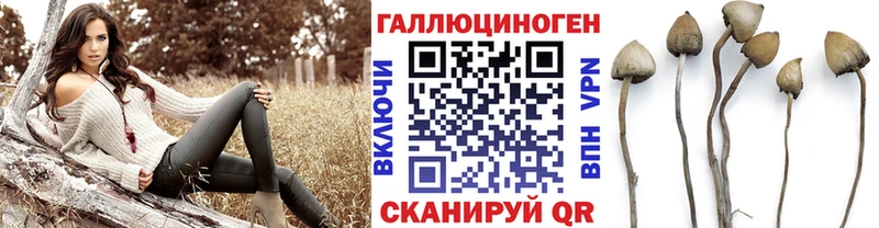 где купить   Белово  KRAKEN вход  Псилоцибиновые грибы Psilocybe 