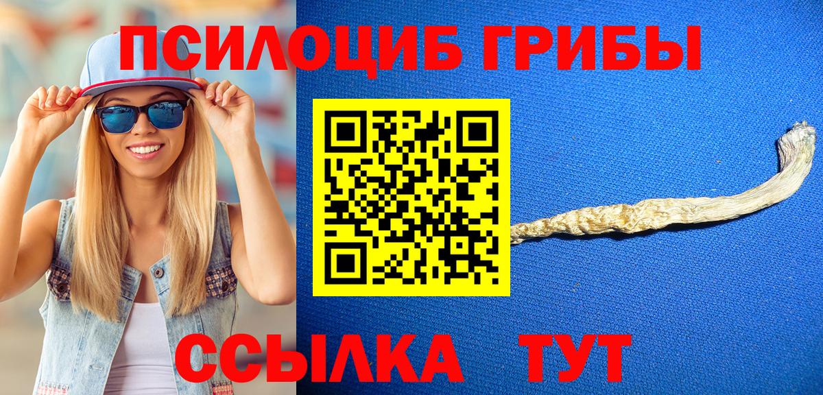 купить наркоту  Вход с VPN  Белово  Псилоцибиновые грибы MAGIC MUSHROOMS  Галлюциногенные грибы MAGIC MUSHROOMS 