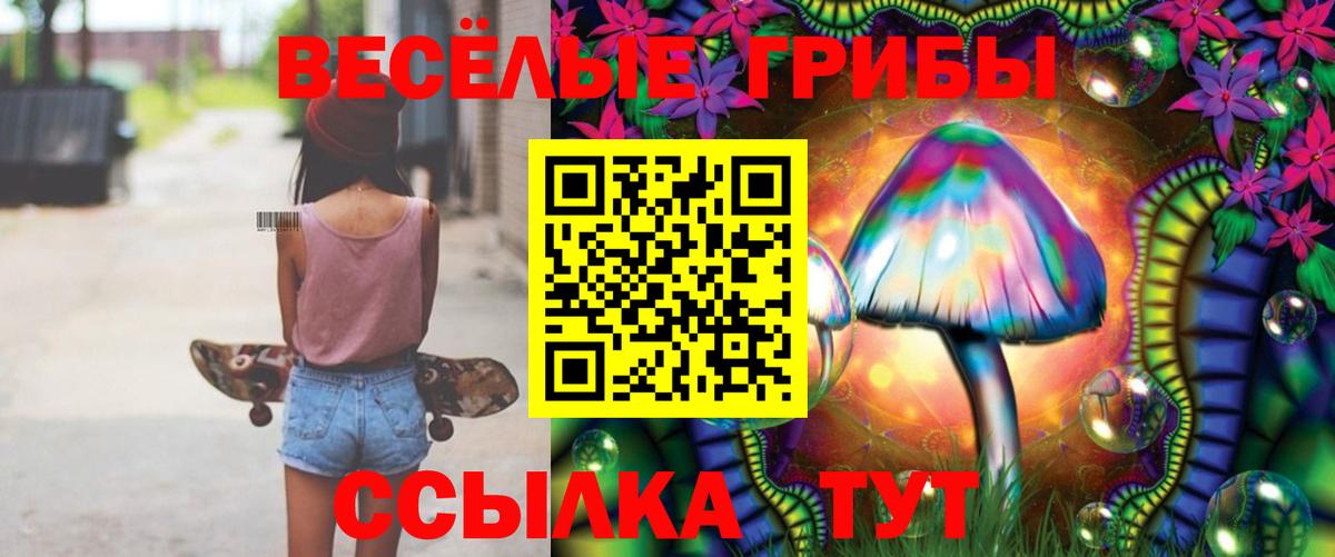 Галлюциногенные грибы MAGIC MUSHROOMS Белово